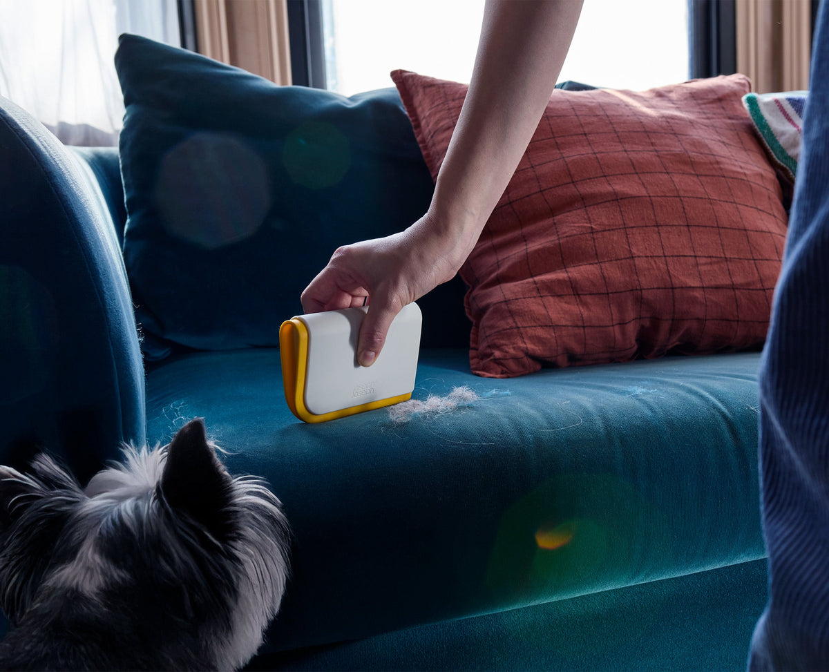 CleanTech™ Pet Hair &amp; Carpet Cleaning Set